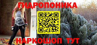 шишки Ликино-Дулёво