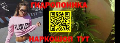 шишки Ликино-Дулёво