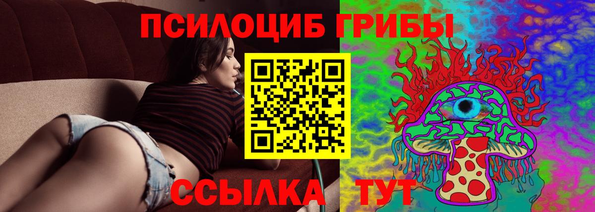 Галлюциногенные грибы Psilocybe Свободный